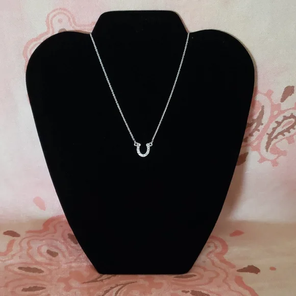 Horseshoe Necklace I'm so lucky to have you in my life Rhinestone Dainty Horsesh - Picture 2 of 9